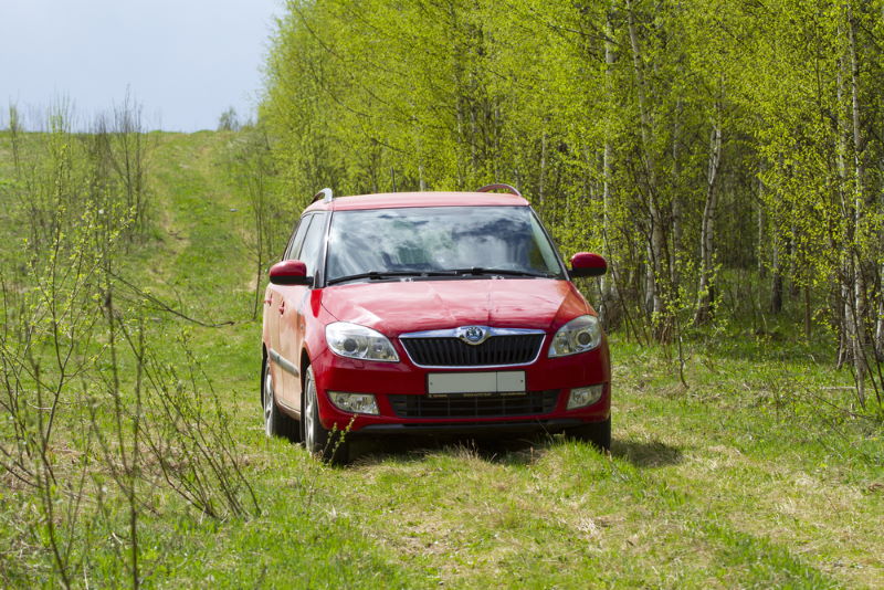 Quelle motorisation pour la SKODA FABIA diésel ?